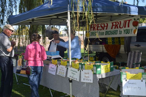Corowa Rotary Federation Festival Market - Melbourne Tourism 0
