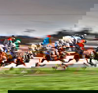 Grafton July Racing Carnival - Melbourne Tourism