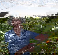 Kingsdale Wines - Cellar Door Wine Tastings - Melbourne Tourism