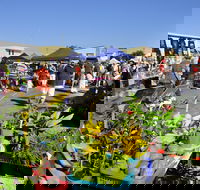 Maclean Community Monthly Markets - Melbourne Tourism