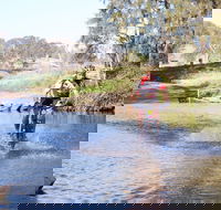Mountain Man Tri Challenge - Melbourne Tourism