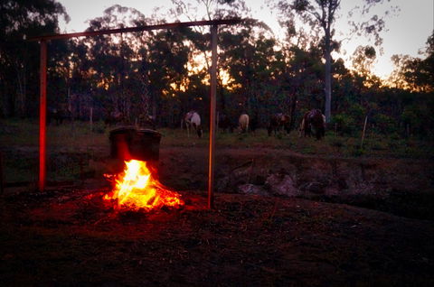 Night Horse Ride And Dinner - Melbourne Tourism 2