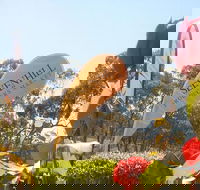 Sevenhill Producers Market - Melbourne Tourism