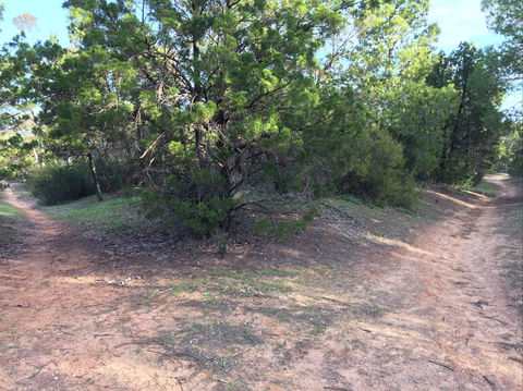 Victoria Park Moonta Monthly Walks - Melbourne Tourism 1