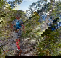 Wild Earth Coastal High 50 - Melbourne Tourism