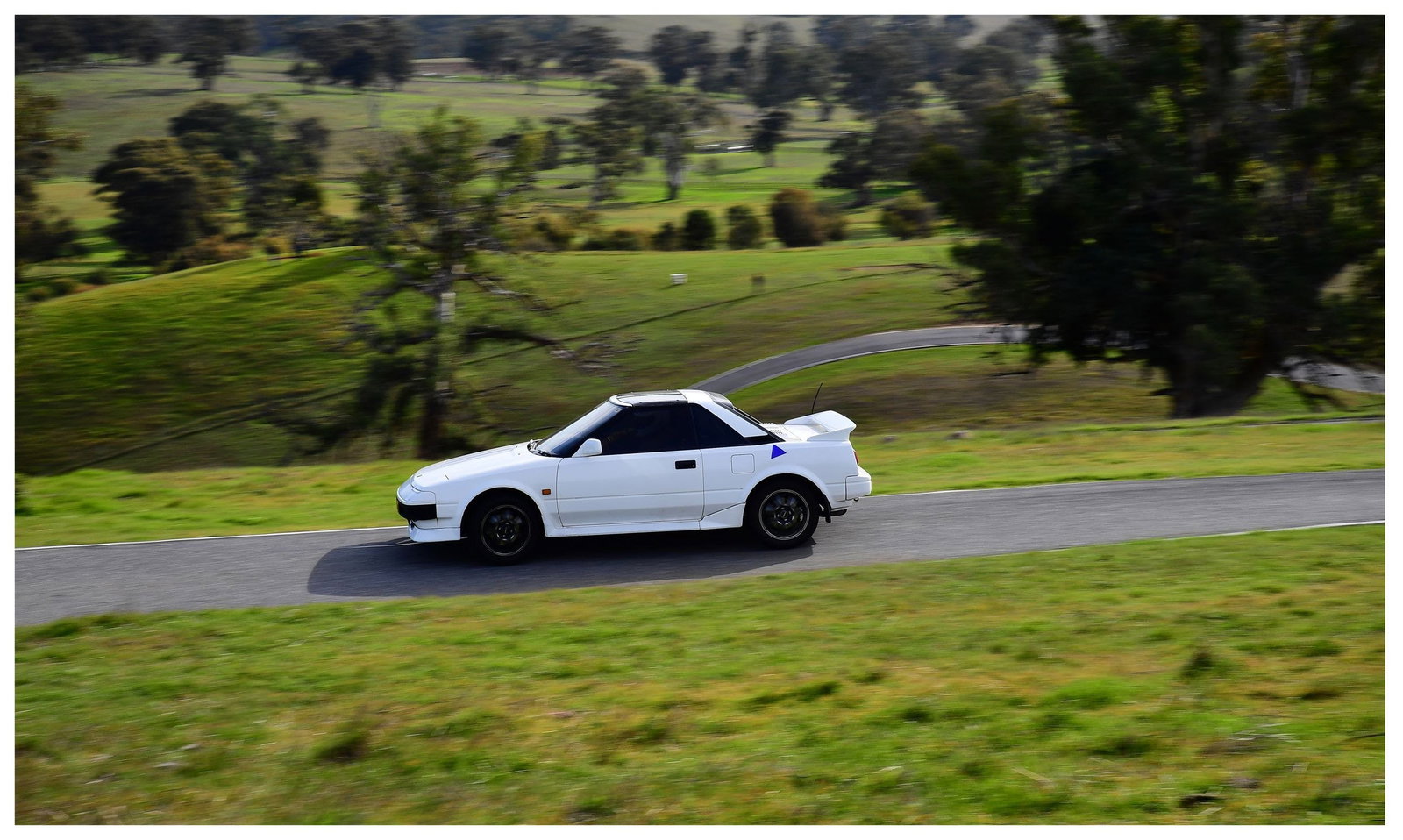 Kongolia SA Melbourne Tourism