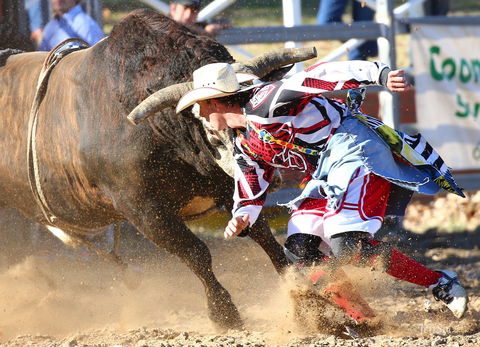 AgriWest Cooma Rodeo - Melbourne Tourism 2