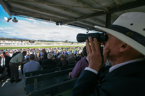 Albury Racing Club Boxing Day Races - Melbourne Tourism 1