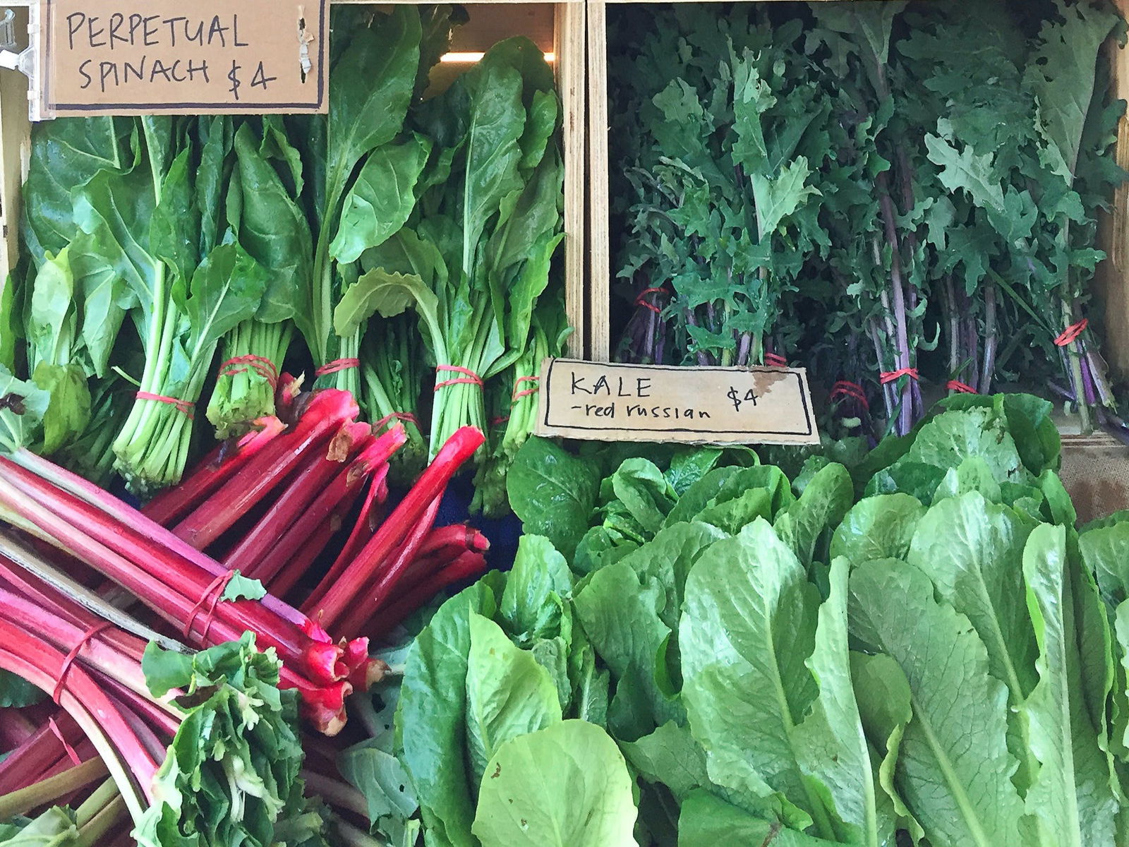 Allans Flat VIC Melbourne Tourism