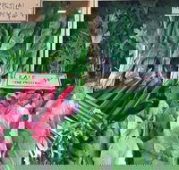 Albury Wodonga Farmers Market - Melbourne Tourism