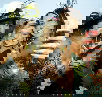 Albury Racing Club January Race Day - Melbourne Tourism