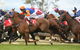 Albury Racing Club January Race Day - thumb 1