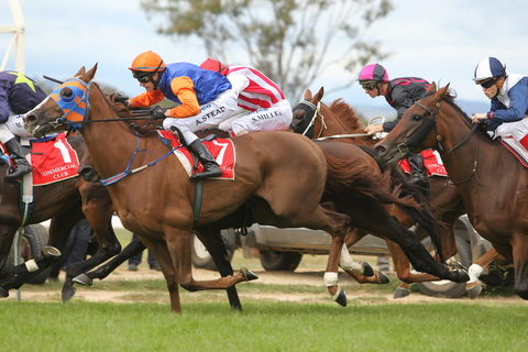 Albury Racing Club January Race Day - Melbourne Tourism 1