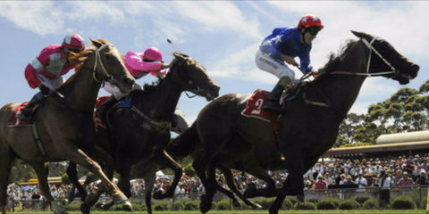 Batemans Bay Cup - Melbourne Tourism 0