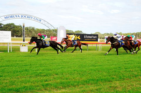 Batemans Bay Cup - Melbourne Tourism 2