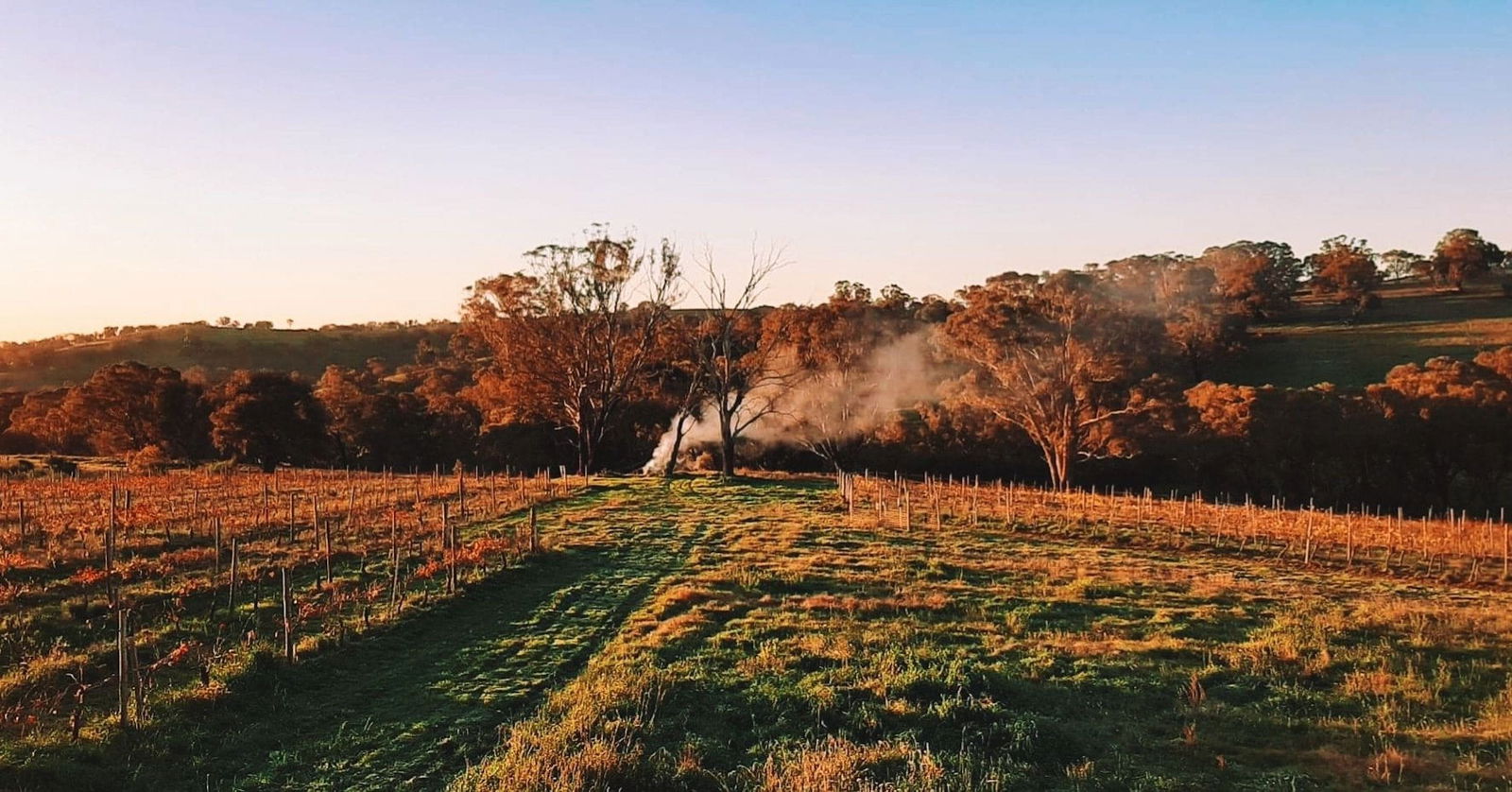 Lidster NSW Melbourne Tourism