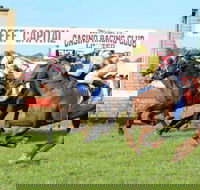 Casino Cup - Melbourne Tourism