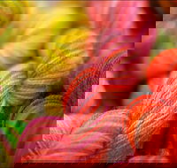 Creative Fibre - Melbourne Tourism