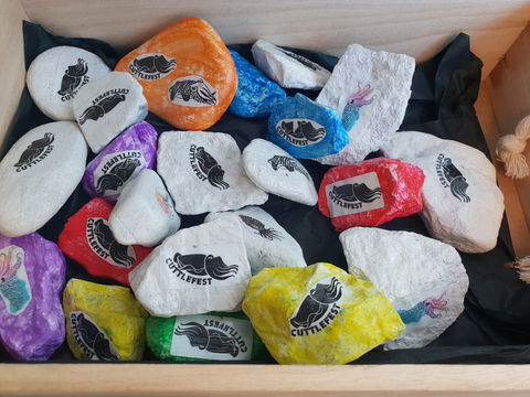 Cuttle-Rock Challenge - CUTTLEFEST 2020 - Whyalla - Melbourne Tourism 0