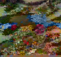 Glenrock Gardens Open Garden - Melbourne Tourism