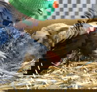 Horsham Agricultural Show - Melbourne Tourism