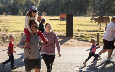 MAAS Group Dubbo Stampede Running Festival - Melbourne Tourism 1