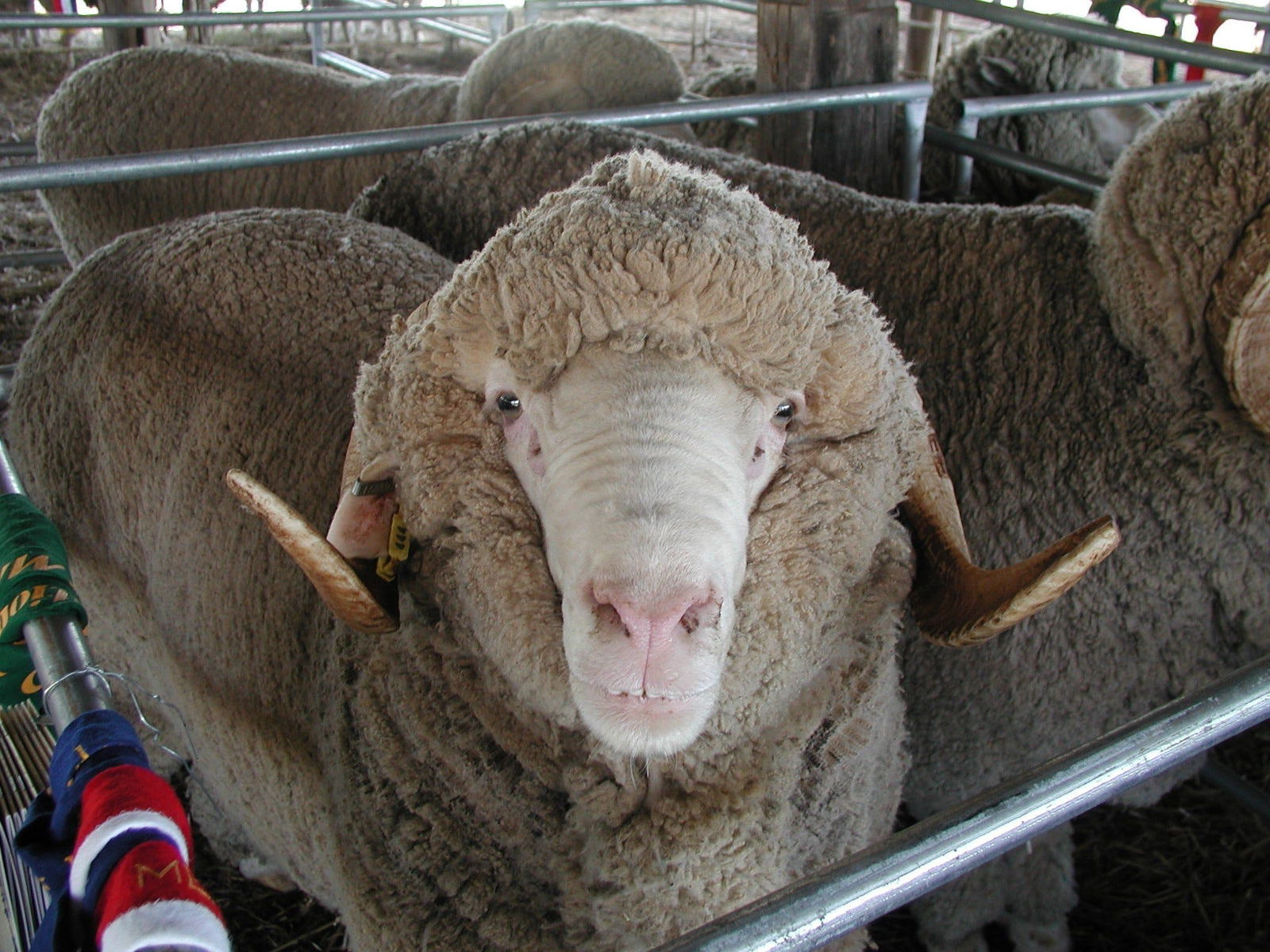 Mendooran NSW Melbourne Tourism