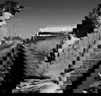 Music in the Gardens - Mitch King - Melbourne Tourism