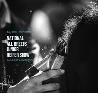 National All Breeds Junior Heifer Show - Melbourne Tourism
