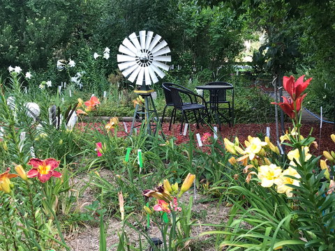 Riverina Iris Farm Open Garden And Iris Display - Melbourne Tourism 2