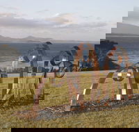 Sculpture Bermagui - Melbourne Tourism