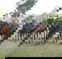 Stroud Show - Melbourne Tourism