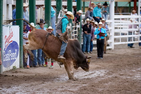 Warwick Rodeo National APRA National Finals And Warwick Gold Cup Campdraft - Melbourne Tourism 1