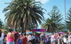 Annual Easter Show *** Postponed *** - thumb 0