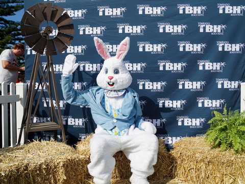 Annual Easter Show *** Postponed *** - Melbourne Tourism 1