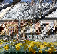 Daffodils at Rydal - Melbourne Tourism