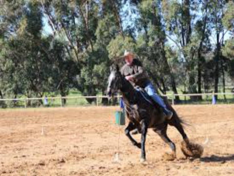 Glen William Gymkhana - Melbourne Tourism 1
