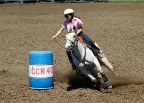 Glen William Gymkhana - Melbourne Tourism 2