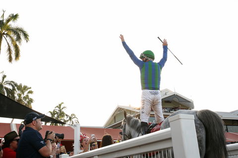 Great Northern Darwin Cup Carnival - Melbourne Tourism 1