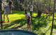 July 2020 Holidays- Forest, Smores & Explore - thumb 0