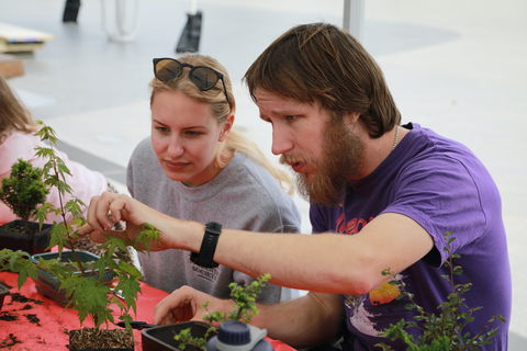 Nan Tien Health And Wellbeing Market - Melbourne Tourism 2