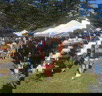 Palm Beach Market - Melbourne Tourism