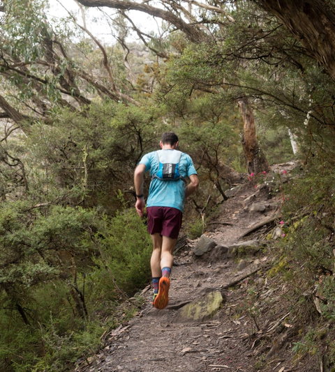 Peaks And Trails Run - Melbourne Tourism 2