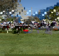 Sakura Matsuri  - Cherry Blossom Festival - in doubt due to Covid-19 - Melbourne Tourism