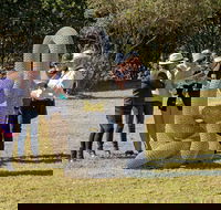 Sculpture for Clyde - Outdoor Exhibition - Melbourne Tourism
