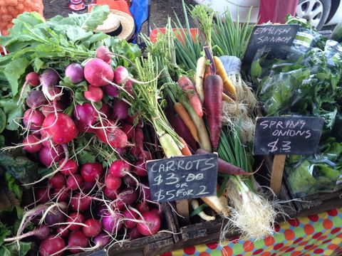 South Geelong Farmers Market - Melbourne Tourism 0