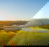 Wine and Food at Altitude - Melbourne Tourism