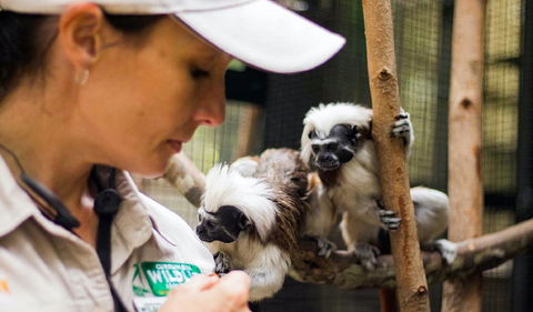 Animal Training And Conditioning - Sept - Melbourne Tourism 0
