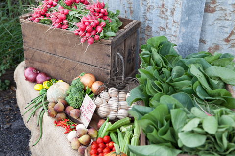 Ma Ma Creek Markets - Melbourne Tourism 0