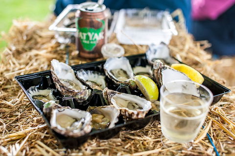 Narooma Oyster Festival - Melbourne Tourism 1